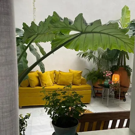 Affittacamere El Banano Home